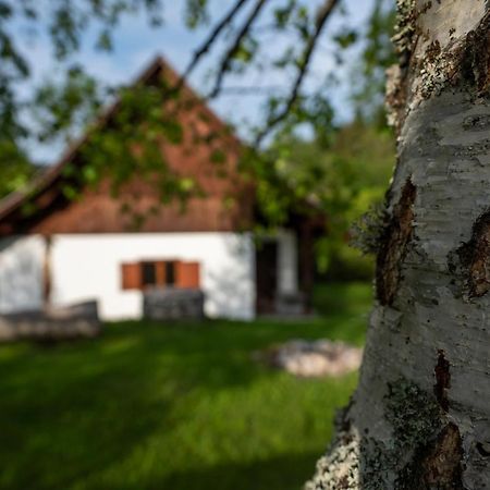 Holiday Home Srednja Vas Srednja Vas v Bohinju Exterior photo