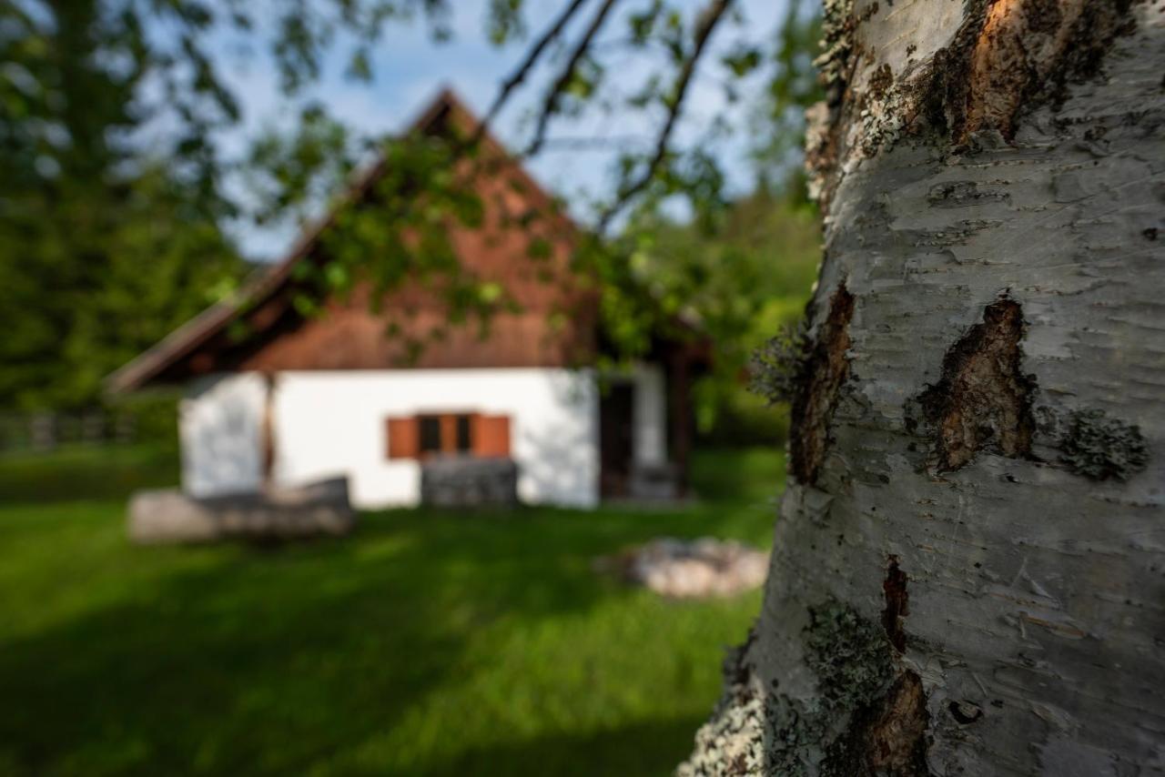 Holiday Home Srednja Vas Srednja Vas v Bohinju Exterior photo