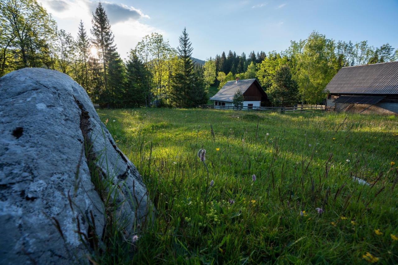 Holiday Home Srednja Vas Srednja Vas v Bohinju Exterior photo